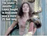  ?? ?? The snake Jennifer Lopez fought in Anaconda was a mere 25 feet long