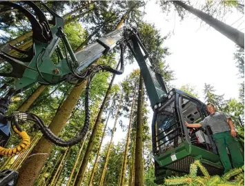  ?? Fotos: Marcus Merk ?? Fast futuristis­ch wirkt der Vollholzer­nter, den Georg Käsbaur bedient: Die Maschine bringt schonend die Stämme aus dem Wald, der am Ende von der Verjüngung profitiert.