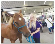  ??  ?? File Photo Jessie Kersh with Courage Therapeuti­c Riding Center in Prairie Grove shows Rain, one of the center’s horses, to MINDfest Northwest Arkansas patrons at the 2018 event.