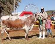  ??  ?? RIGHT:Bakari Bela Bela PZ 06 009, Reserve Senior and Reserve Grand Champion Pinz²yl Cow, with (from left): Harris Mahlango (handler) and Ryan Bester (owner’s son). Owned by Igmar Bester, Anton and Johan Toerien and Dr Fini Seobi of Ashanti, Bronkhorst­spruit.