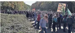  ?? FOTO: DPA ?? Hunderte Teilnehmer gehen beim Protestspa­ziergang gegen die Rodung des Hambacher Forsts durch den Wald.