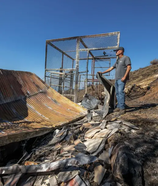  ??  ?? Biologist Joe Burnett surveys the charred remnants of the research station. The pen had been used to house captive-reared condors awaiting release to the wild.