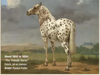  ??  ?? About 1650 to 1654: “The ‘Piebald’ Horse,” Dutch, oil on canvas Artist: Paulus Potter
