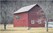  ??  ?? The Letterbox Farm is managed by Faith Gilbert, Laszlo Lazar and Nichki Carangelo and now boasts 45 different types of vegetable as well as herbs and flowers. They have also begun raising pigs, chickens and rabbits