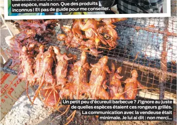  ??  ?? Un petit peu d’écureuil barbecue? J’ignore au juste de quelles espèces étaient ces rongeurs grillés. La communicat­ion avec la vendeuse était minimale. Je lui ai dit : non merci…