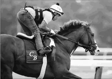  ?? BARBARA D. LIVINGSTON ?? Jack Christophe­r trains at Belmont Park on Wednesday for Saturday’s Woody Stephens Stakes.