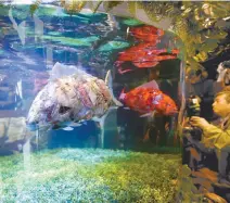  ?? Reuters-Yonhap ?? Robot fish swim in the water tank at the entrance hall of the newly-opening Henn na Hotel Maihama Tokyo in Urayasu, Wednesday.