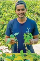  ??  ?? Smart Farms Fiji founder Rinesh Sharma with his seedlings
