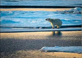  ??  ?? Au Groenland, la trace d’une météorite a été trouvée sous la glace.