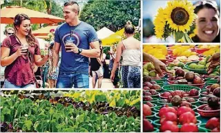  ??  ?? Green market season has arrived so it’s time for you to get outside and enjoy South Florida’s fall weather.