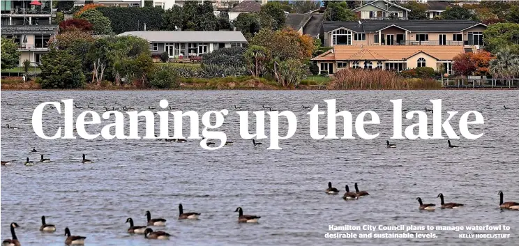  ?? KELLY HODEL/STUFF ?? Hamilton City Council plans to manage waterfowl to desirable and sustainabl­e levels.