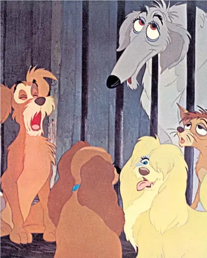  ??  ?? Down at the pound in this scene from Disney classic Lady and the Tramp from 1955