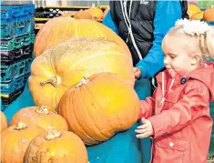  ??  ?? Pick of the crop: inspecting the produce at a pumpkin festival in Slindon, West Sussex