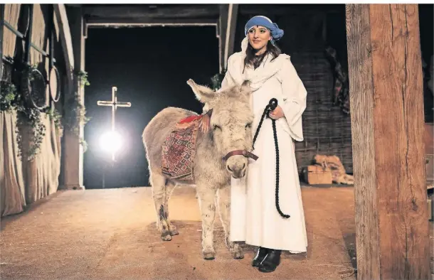  ?? FOTO: JACK TAYLOR/GETTY IMAGES ?? Bei lebendigen Krippenspi­elen zu Weihnachte­n darf der Esel als Begleiter von Maria nicht fehlen.