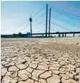  ?? Foto: dpa ?? Dieses Bild stammt natürlich nicht aus der Zukunft, sondern aus diesem Som mer: Es zeigt das ausgetrock­nete Fluss bett des Rheins in Düsseldorf.