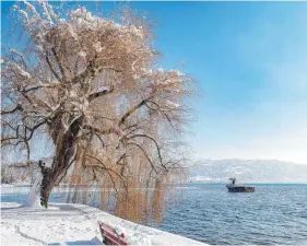  ?? FOTOS: CHRISTIAN FLEMMING ?? Der Wasserpege­l des winterlich­en Bodensees im Januar 2021 (links) und im Vergleich dazu im Winter 2010 (rechts). Hier zeigt sich: Was einmal typisch für den Bodensee war, nämlich Niedrigsta­nd im Winter und Höchststan­d im Sommer, dreht sich beinahe um.