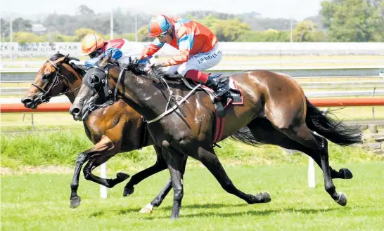  ?? Photo / Race Images ?? Demonetiza­tion (outer) is a $7 second favourite for the Manco Easter today.