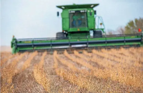  ?? [PHOTOS PROVIDED BY OKLAHOMA STATE UNIVERSITY] ?? Soybeans are harvested near Blackwell a few years ago. In recent years, more of the crop has been planted in Oklahoma because of its profitabil­ity for farmers.