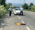  ??  ?? I rilievi La polizia locale in viale Gabrielli dove è stata investita una badante che tentava di attraversa­re