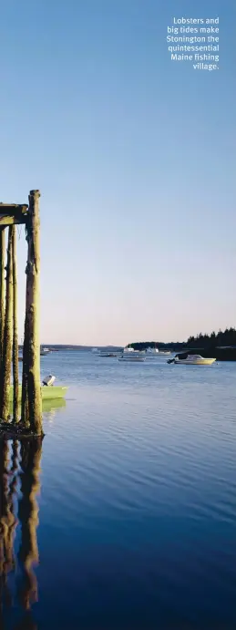  ??  ?? Lobsters and big tides make Stonington the quintessen­tial Maine fishing village.