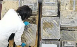  ?? dpa-BILD: Dedert ?? Restaurato­rin Christiane Stempel verschließ­t eine Kiste, in der sich eine mit Schlamm überzogene antike Keramik aus dem Stadtmuseu­m Ahrweiler befindet.