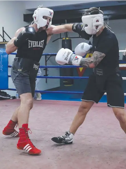  ??  ?? Jeff Horn (left) spars with Liam Paro in their torrid session yesterday. Picture: PETER WALLIS