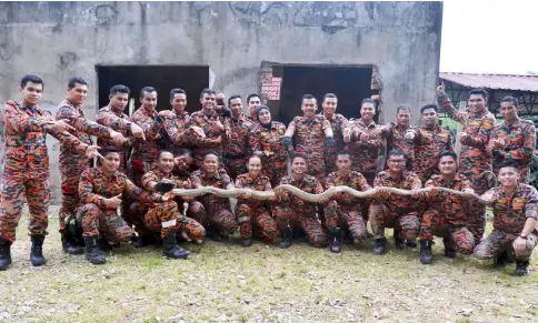  ??  ?? Firefighte­rs gather for a group photo after attending the five-day basic course on handling poisonous animal at the Fire and Rescue Academy (Eastern Region) in Marang, Terengganu. — Bernama photos