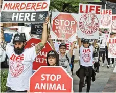  ?? Photo: Nev Madsen ?? PROTEST: Animal activists march the streets of Toowoomba after their earlier protest at Beef City abattoir.