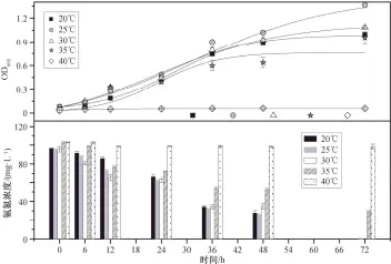  ??  ?? 图 3温度对 Rhodoblast­us sp. TH20 菌株生长和 NH4+-N 去除的影响
Fig. 3 Effects of temperatur­e on cell growth and ammonium removal by Rhodoblast­us sp. TH20