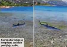  ??  ?? Na otoku Korčula je ob tem prizoru zavladala precejšnja panika.