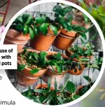  ?? ?? You can make use of vertical space with wall-mounted pots