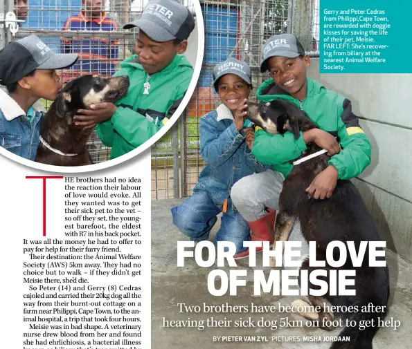  ??  ?? Gerry and Peter Cedras from Philippi,Cape Town, are rewarded with doggie kisses for saving the life of their pet, Meisie. FAR LEFT: She’s recovering from biliary at the nearest Animal Welfare Society.