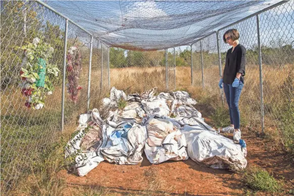  ??  ?? Kate Spradley surveys body bags containing the remains of unidentifi­ed border crossers at the Forensic Anthropolo­gy Center at Texas State in San Marcos, Texas, on Nov. 30. The lab does not have cold storage, so bodies are kept outside until they can be...