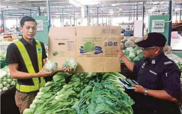  ??  ?? ANGGOTA penguat kuasa GPL FAMA Melaka memeriksa bekalan produk salad Iceberg.