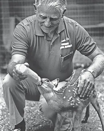  ?? JOURNAL SENTINEL FILES ?? Gordy Priegel feeds a fawn at the 1989 DNR exhibit at the Wisconsin State Fair.