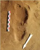  ?? Photograph: Dominique Cliquet/AFP/Getty Images ?? One of the Neandertha­l footprints discovered at Le Rozel, France.