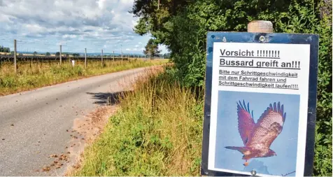  ?? Foto: Wolfgang Widemann ?? Immer wieder greift ein Bussardpaa­r auf der Straße, die nördlich von Gosheim zu den Baggerseen führt, Passanten und Radfahrer an. Mit solchen Schildern warnt die Ge meinde Huisheim vor den aggressive­n Raubvögeln.