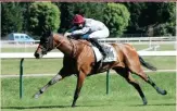  ?? (IMAGE: SCOOPDYGA) ?? Jockey Pierre-Charles Boudot guides Perhaps at Prix De La Prairie in Vichy, France, on Wednesday.