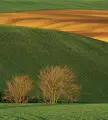  ??  ?? Basilicata di Franco Fontana