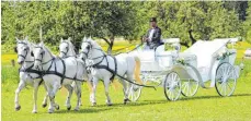  ??  ?? Vor allem die Hochzeitsk­utsche ist bei Uwe Links Kunden gefragt.