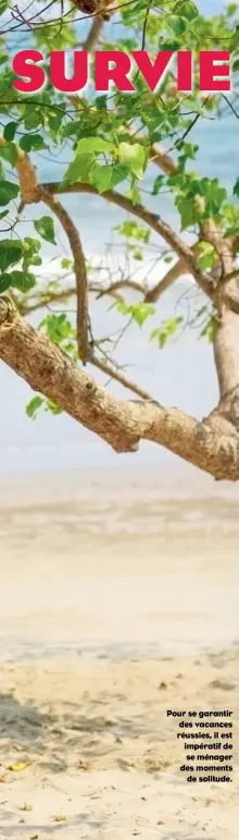  ??  ?? Pour se garantir des vacances réussies, il est impératif de se ménager des moments de solitude.