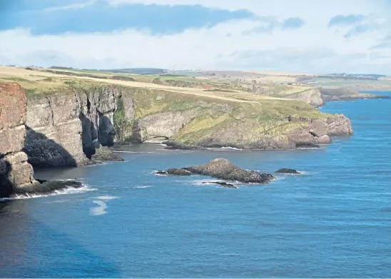  ?? In May and June. Picture by Angus Whitson. ?? HAVEN: Fowlsheugh Nature Reserve and the guano-white cliffs to which seabirds flock