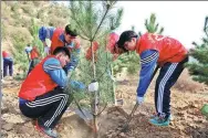  ?? JING SHENHAO / FOR CHINA DAILY ?? Student volunteers plant trees in Taiyuan city, Shanxi.