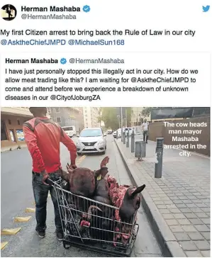  ??  ?? The cow heads man mayor Mashaba arrested in the city.