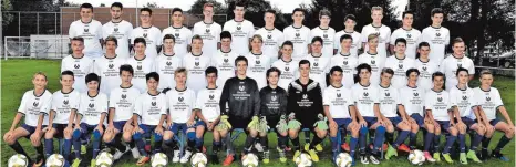  ?? FOTO: SPIELGEMEI­NSCHAFT ?? Die jungen Fußballer der Spielgemei­nschaft Haisterkir­ch-Molpertsha­us mit ihren neuen Trikots.
