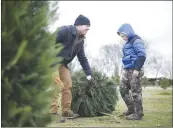  ??  ?? Ron Daniels of Goshen (from left) and Hunter Daniels, 9, chopped down a natural Christmas tree, Sunday, Nov. 29, at the Wonderland Christmas tree farm.