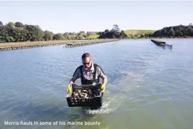  ??  ?? Morris hauls in some of his marine bounty