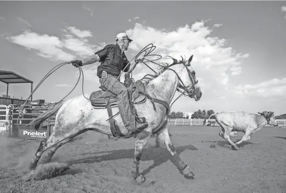  ?? PHOTOS BY NATHAN J. FISH/THE OKLAHOMAN ?? Jacob Mendenhall ropes steers Aug. 26 at his home in Oklahoma City.