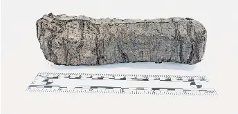  ?? ?? FUERON ENCONTRADO­S en la ciudad romana de Herculano, que junto con la vecina Pompeya fue destruida cuando el monte Vesubio entró en erupción en el año 79 d.c.