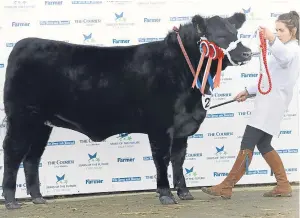  ??  ?? Stephanie Dick, Mains of Throsk, Stirling, with her Aberdeen Angus senior champion, Crew Lady Jasmine, at the Stars of the Future show in Stirling.